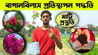 প্রচুর ফুল পেতে কিভাবে টবে বুগেনভেলিয়া গাছ তৈরী করবো ?| Bougainvillea flowering tips| @soilfriend