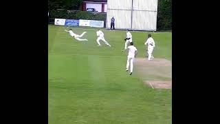 One of the best Slip catches(pls Subscribe and Like)