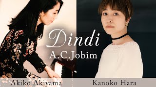 Dindi / Antonio Carlos Jobim / cover