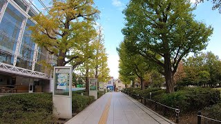 Walk around Toritsu-daigaku Station-都立大学駅周辺の散歩-4K