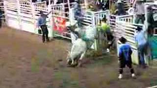 High School Rodeo Championships '08- Bull Ride #1