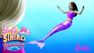LA SIRENA MISTERIOSA 💕🧜‍♀️ | Barbie y los Delfines Mágicos | Barbie Sirena en Español Latino