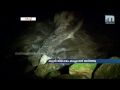 wale found on edavanakkad beach