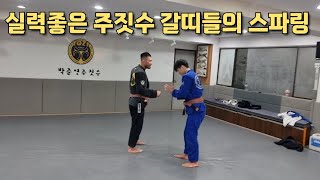 실력좋은 주짓수 갈띠들의 즐거운 스파링영상