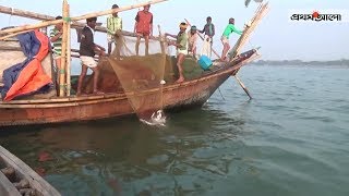 মা ইলিশ রক্ষায় ২২ দিন মাছ ধরা বন্ধ | 22-day ban on ilish fishing from Oct 7