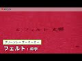 【光響】グリーンレーザーマーカーキット： フェルト