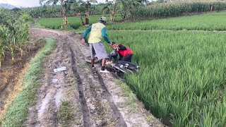 SABAR PAK DE GOLEK SANDANG PANGAN SAMPEK NIBO NANGII KECEMPLUNG SAWAH