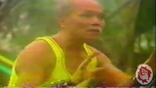 Successor of the Dragon Style Kung Fu (Lung-ying Kyun): A Documentary about Master Ma Chai