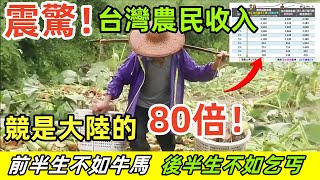 震驚！😱台灣農民的收入竟然是大陸的80倍！這就是中國要讓台灣過上的幸福生活！｜Reaction Video