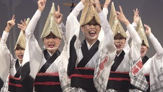 癒やしの阿波踊り❕「弁慶連」2019秋の座・高円寺阿波おどり（2019.11.23）