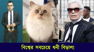 বিশ্বের সবচেয়ে ধনী বিড়াল শপেট! incredible bangla