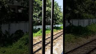 รถไฟขบวนที่ 4343 มาจากวงเวียนใหญ่ กำลังเข้าจอดที่สถานีวัดสิงห์ video 25630322 133406