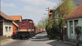 Die Exoten aus dem Harz - Mit dem Harzkamel zum Brocken