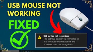 Mouse Not Working Windows 10 Solved | Fix USB Mouse Not Working in Laptop!