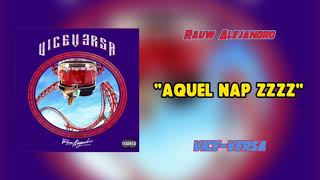 Rauw Alejandro - Aquel Nap ZzZz (Official Audio) | Vice Versa