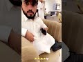 سناب اسامة داود اسامة يطقطق على الربع والربع اتنرفز😂😂😂 سنابات السعودية shortvideo short