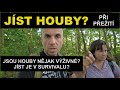 Má smysl jíst houby pro přežití v lese? Jsou vůbec nějak výživné?