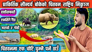 OMG 😱 One Horn Rhino // Chitwan National Park // Hatti Safari // Tour Ko Last Din