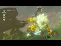 eng cc원거리적도 강제러쉬 썬더 클랩 러쉬 thunderclap rush젤다의전설 야생의숨결 the legend of zelda botw