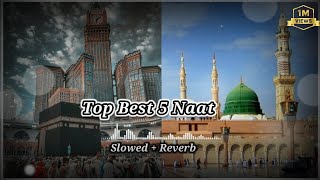 Top 5 Best Naat || Mind 💆Relax || best Naat Ever || Slowed & Reverb || By islmaic mahfil.