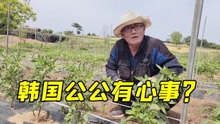 韓國公公非拉我喝酒，玉涵心裡一陣感慨，這是拿我當兄弟了？