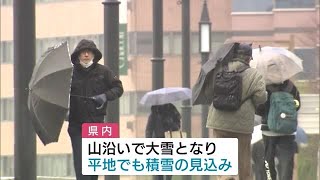 新潟県内は22日から23日にかけ大雪の見込み　予想より寒気が強まった場合は警報級のおそれも　交通の乱れなどに注意を (24/12/21 12:13)