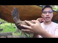 mag kano nga ba ang month old ko ng pure tornado hatch ng mt. banahaw