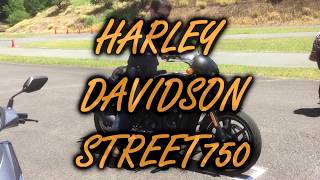 HARLEY DAVIDSON STREET750　試乗　in Daytona 茶ミーティング