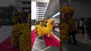 How to activate the Lions in Lion Dance 🎊Chinese New Year 2025 #yearofthesnake #liondance #fengshui