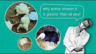 Ep.3 Why Active vitamin D is greater than all else?