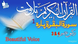 Surah Al-Baqarah | Surah Baqrah Quran Tilawat | Beautiful Quran Recitation | Tilawat e Quran | 3 & 4
