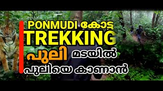 PONMUDI കോട്ട TREKKING പുലി മടയിൽ പുലിയെ കാണാൻ Wayanad forest! travel king