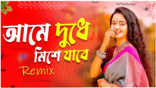 Ame Dudhe Mishe Jabe DJ | আমে দুধে মিশে যাবে | DJ Choton | Bangla Old DJ Song | Tik Tok 2024