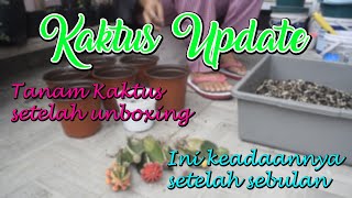 TANAM KAKTUS SETELAH UNBOXING DAN UPDATE PERKEMBANGAN SETELAH SEBULAN DITANAM SUDAH BERANAK #cactus