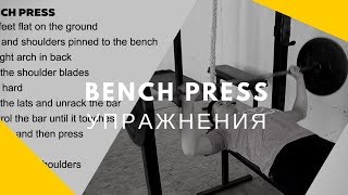 BENCH PRESS |  Totalfit