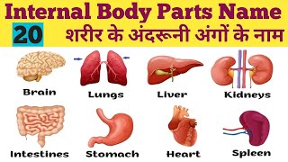 20 Body parts name ll Internal Body Parts Name ll शरीर के अंदरूनी अंगों के नाम ll body parts for Kid