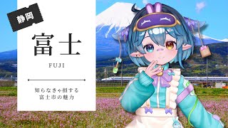 【旅行先決まらない人必見】【穴場観光地】『海と富士山と工場夜景』があるレトロでエモすぎる街、富士市を知ってる？【#fuji 】