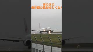 雨の日撮影の悲劇。。The tragedy of shooting on a rainy day  #japan airline  #飛行機　#出雲空港  #出雲大社  #旅行　#shorts