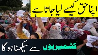 Kashmir Protest | kashmir protest | pm pakistan | electricity bill | pakistan #kashmirprotest