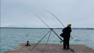 “FISH ON” at HOLYHEAD BIG DOCK❗️UK Sea Fishing