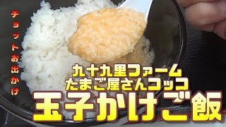 九十九里ファームたまご屋さんコッコのたまごかけご飯を食べに行った。　～チョットお出かけ～