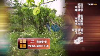 TVBS 一步一腳印 20150329 (5/5)