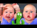 🔴 [LIVE] Best Videos of Cutest Twin, Triplet and Quadruplet Babies - Cool Peachy Video