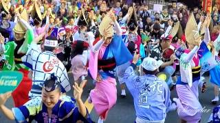 2017日本東京高円寺阿波踊舞在新北慈惠宮