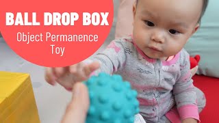 Ball Drop Box Baby Toy | Object Permanence Box