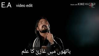 Hogi Ziarat Kabool :Noha  (Irfan Haider) status video full HD