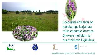 Muhu ja Saaremaa loopealsed