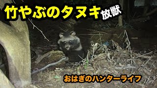 【狩猟2-64】あご湾のタヌキを放獣