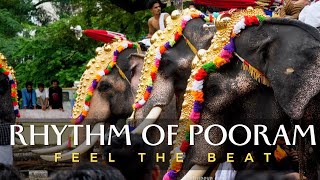 പൂരത്തിന്റെ താളം ( The Rythm of Pooram ) | The True Eye | Thrissur Pooram 2022