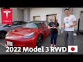 2022 TESLA Model 3 RWD Review in JAPAN - No Home Charging, Tesla Supercharger Tour & Hanami Drive!